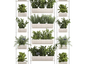 Kitchen mini vegetable garden set Basil Lettuce Rosemary 1412 3D Model