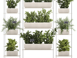 Kitchen mini vegetable garden set Basil Lettuce Rosemary 1412 Modello 3D