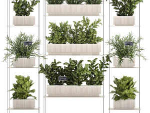 Kitchen mini vegetable garden set Basil Lettuce Rosemary 1412 3D Model