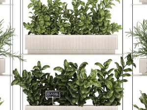 Kitchen mini vegetable garden set Basil Lettuce Rosemary 1412 3D Model