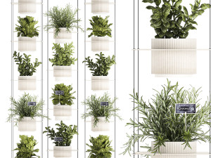 Kitchen mini vegetable garden Rosemary Basil pot 1413 Modèle 3D