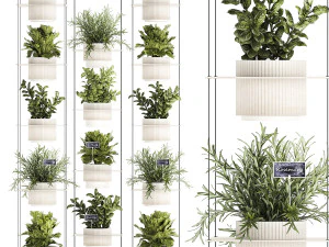 Dapur kebun sayur mini Pot Rosemary Basil 1413 Model 3D