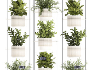 Kitchen mini vegetable garden Rosemary Basil pot 1413 Modelo 3D