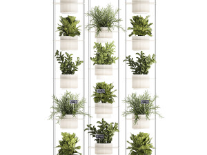 Kitchen mini vegetable garden Rosemary Basil pot 1413 Modelo 3D