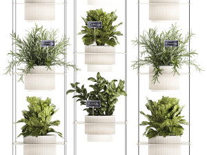Kitchen mini vegetable garden Rosemary Basil pot 1413 Modelo 3D