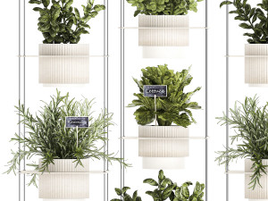 Kitchen mini vegetable garden Rosemary Basil pot 1413 Modelo 3D