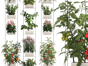 Mini kitchen garden Rosemary Basil vegetables pepper tomato 1414 Modèle 3D