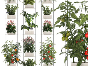 Kebun Dapur Mini Rosemary Basil Sayuran Lada Tomat 1414 Model 3D