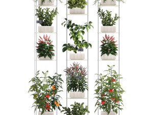Mini kitchen garden Rosemary Basil vegetables pepper tomato 1414 3Dモデル