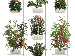 Mini kitchen garden Rosemary Basil vegetables pepper tomato 1414 3Dモデル