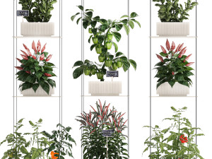 Mini kitchen garden Rosemary Basil vegetables pepper tomato 1414 3Dモデル