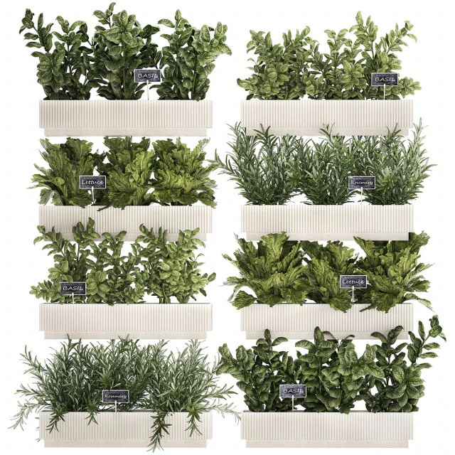 Кухонный мини-сад с розмарином, овощами, базиликом 1415 3D Модель .c4d .max .obj .3ds .fbx .stl .blend 