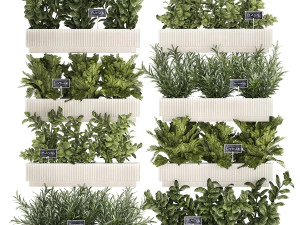 Taman mini dapur dengan sayuran rosemary basil 1415 Model 3D