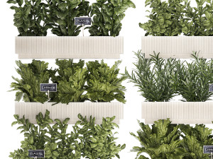 Kitchen mini garden with rosemary vegetables basil 1415 3Dモデル