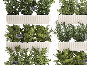 Кухонный мини-сад с розмарином, овощами, базиликом 1415 3D Модель