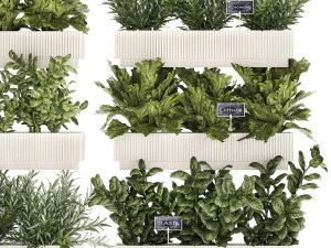 Кухонный мини-сад с розмарином, овощами, базиликом 1415 3D Модель