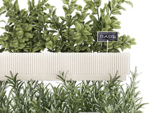 Кухонный мини-сад с розмарином, овощами, базиликом 1415 3D Модель