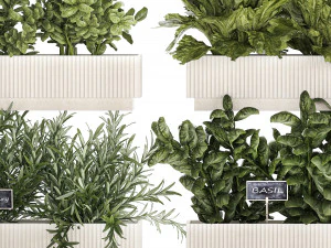 Кухонный мини-сад с розмарином, овощами, базиликом 1415 3D Модель