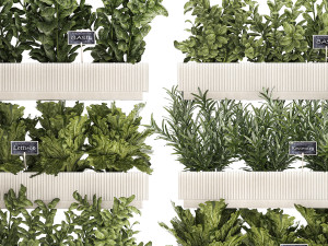 Kitchen mini garden with rosemary vegetables basil 1415 3Dモデル