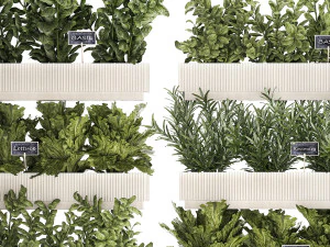 Кухонный мини-сад с розмарином, овощами, базиликом 1415 3D Модель