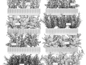 Kitchen mini garden with rosemary vegetables basil 1415 3Dモデル
