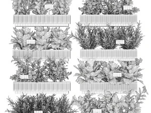 Кухонный мини-сад с розмарином, овощами, базиликом 1415 3D Модель