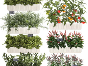Kitchen garden vegetables tomatoes peppers greens 1416 3D Model