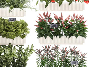 Horta legumes tomates piment&otilde;es verduras 1416 Modelo 3D