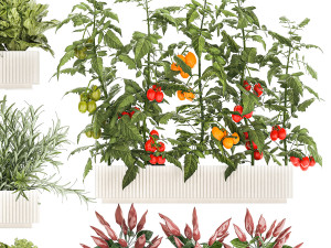 Kitchen garden vegetables tomatoes peppers greens 1416 3Dモデル