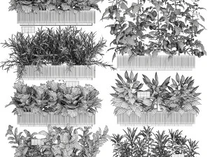 Horta legumes tomates piment&otilde;es verduras 1416 Modelo 3D