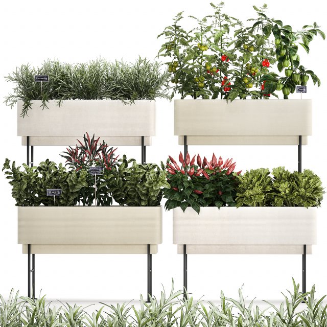 Kitchen garden vegetables tomatoes and rosemary 1417 Modelo 3D .c4d .max .obj .3ds .fbx .stl .blend 