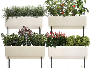 Sayuran kebun dapur tomat dan rosemary 1417 Model 3D