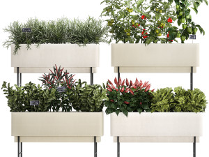 Kitchen garden vegetables tomatoes and rosemary 1417 Modelo 3D