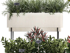 Moestuingroenten Tomaten en Rozemarijn 1417 3D Model