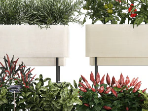 Moestuingroenten Tomaten en Rozemarijn 1417 3D Model