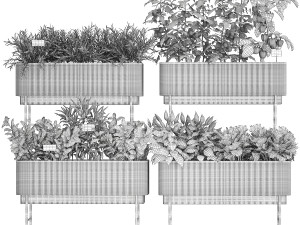 Kitchen garden vegetables tomatoes and rosemary 1417 Modelo 3D
