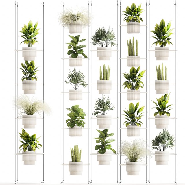 Hanging Shelf On Ropes Potted Plants Raphis Palm Ficus 1419 Modelo 3D .c4d .max .obj .3ds .fbx .stl .blend 
