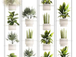 Hanging Shelf On Ropes Potted Plants Raphis Palm Ficus 1419 Modelo 3D