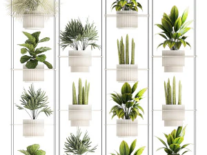 Prateleira Pendurada Em Cordas Vasos De Plantas Raphis Palm Ficus 1419 Modelo 3D