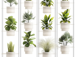 Hanging Shelf On Ropes Potted Plants Raphis Palm Ficus 1419 Modelo 3D