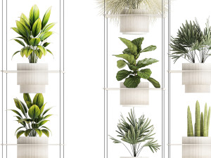Hanging Shelf On Ropes Potted Plants Raphis Palm Ficus 1419 Modelo 3D