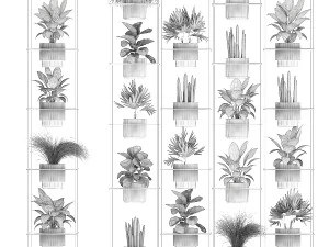 Prateleira Pendurada Em Cordas Vasos De Plantas Raphis Palm Ficus 1419 Modelo 3D