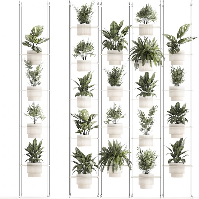 Hanging Shelf On Ropes Potted Plants Monstera Palm 1420 Modelo 3D .c4d .max .obj .3ds .fbx .stl .blend 