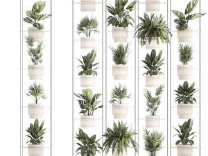 Hanging Shelf On Ropes Potted Plants Monstera Palm 1420 3Dモデル