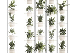 Hanging Shelf On Ropes Potted Plants Monstera Palm 1420 3D Model