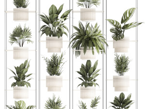 Hanging Shelf On Ropes Potted Plants Monstera Palm 1420 Modelo 3D