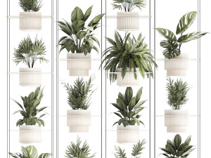 Hanging Shelf On Ropes Potted Plants Monstera Palm 1420 3D Model