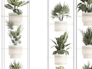 Hanging Shelf On Ropes Potted Plants Monstera Palm 1420 3D Model
