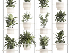 Hanging Shelf On Ropes Potted Plants Monstera Palm 1420 3D Model