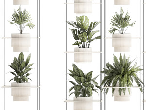 Hanging Shelf On Ropes Potted Plants Monstera Palm 1420 Modelo 3D
